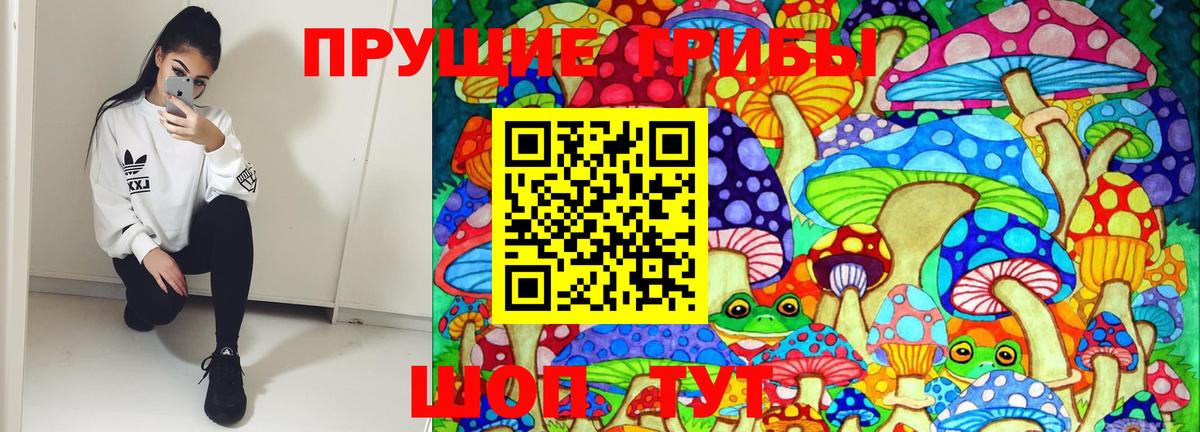 Галлюциногенные грибы MAGIC MUSHROOMS  Вход с VPN  Псилоцибиновые грибы Psilocybe  Борисоглебск 